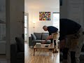 Before &amp; After Luxury Apartment Transformation#Viral #Trending #FYP #ForYou #ExplorePage#shorts #usa