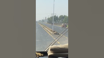 UOG Bus Driver | University Bus 😂😀 | UOG