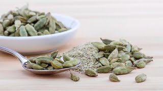 Cardamomul A Devenit Unul Dintre Cele Mai Râvnite Condimente Din Lume?