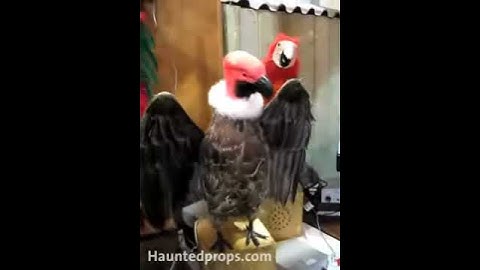 PLEASE GO TO HAUNTED PROPS.COM FOR MORE INFORMATION OR CALL 631 392 1135