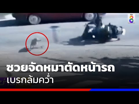 ซวยจัดหมาตัดหน้ารถ เบรกล้มคว่ำ | ข่าวช่อง8