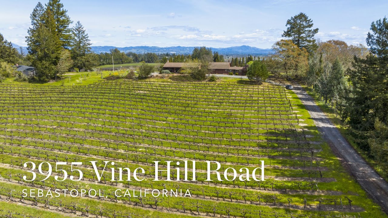 3955 Vine Hill Road Sebastopol Home With Vineyard for Sale YouTube