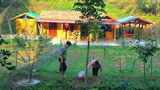 Clearing grass to expand the farm in 2024. Harvest the second wild gac crop to sell to traders