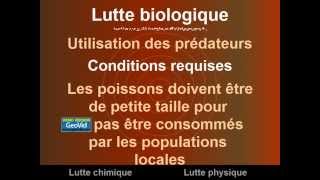 Lutte Anti Vectorielle. Partie 2