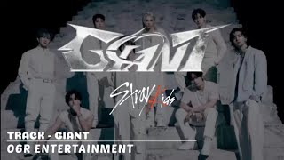 Giant Straykids - Cover by 06R Family (lyric Music Video)