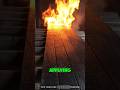 This Isn’t Destruction — It’s Preservation! #woodworking #fire #viralvideo