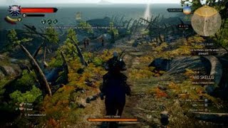 Celebrity The Witcher 3 Glitch Roach Wealth