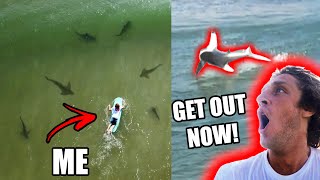 Surfing In Shark Infested Waters (Shark Attack Capital Of The World)