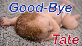 GOOD_BYE With Full Body Silicone Baby Tate Taylor Doll Studio Hand Sculpted babies by ,Claire Taylor