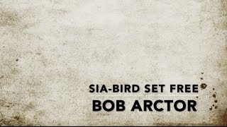 Sia - Bird Set Free – Traduzione in Italiano