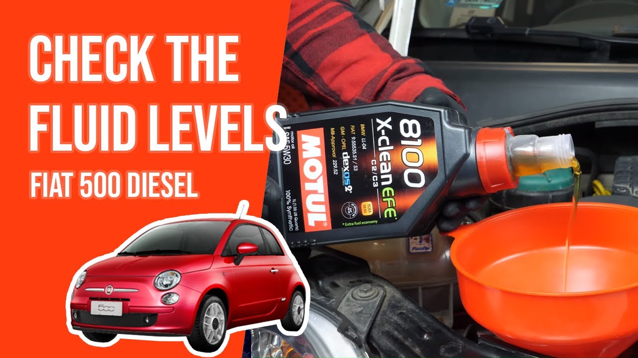 How to check the fluid levels Fiat 500 1.3 Multijet 📏