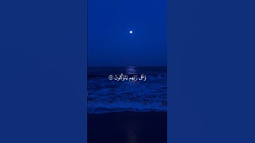 القارئ : عبد الرحمن مسعد ﴿ الَّذِينَ صَبَرُوا وَعَلَىٰ رَبِّهِمْ يَتَوَكَّلُونَ﴾[ العنكبوت: 59]
