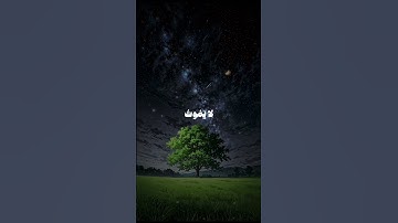 سورة الفرقان | الآية 58 | للقارئ عمر بن ضياء الدين.