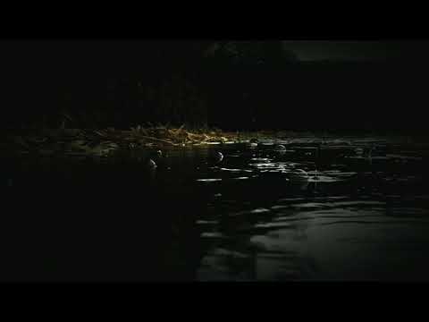 Walk Alone the Riverside || Koyal Nadi || Basia