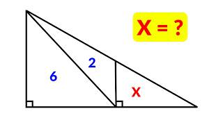 Can You Think Like an Olympiad Student