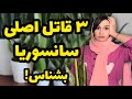 ۳ علت اصلی نابودی گیاه سانسوریا چرا گیاه سانسوریا خراب میشه زرد شدن برگ سانسوریا 