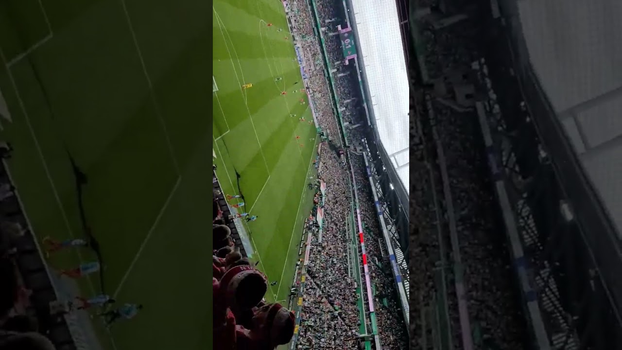 Allez Effzeh ❤️🤍🎶 