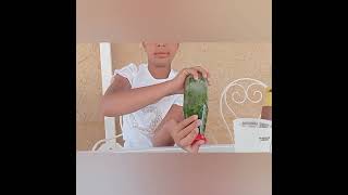 Limonade De Menthe Resimi