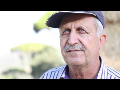 مزارع خالد نجد أبقار للحليب وطيور ودجاج وأكثر