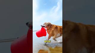 Max Caught Fresh Seafood For His Mom  usa viral short