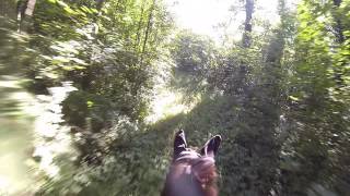 our secret trail to canter:)