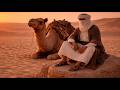 موسيقى عود هادئة عند غروب الشمس في الصحراء استرخاء عميق وأنغام