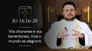 Homilia Diária | Quinta-feira - 6ª Semana da Páscoa (Jo 16,16-20)