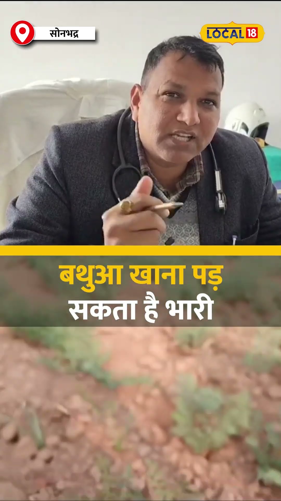 Bathua का सेवन करने से पहले जानें, ये जानकारी हो सकती है आपके लिए जरूरी! #local18shorts