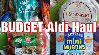 BUDGET ALDI GROCERY HAUL WITH PRICES! MEAL PLAN!