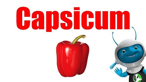 Capsicum | Learn Vegetables with Kaju!