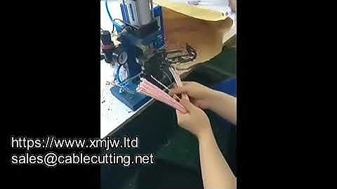 WPM 150a Wire Stripper Pneumatic Multi Core Auto Cable Stripping Machine Ribbon Wire Stripper
