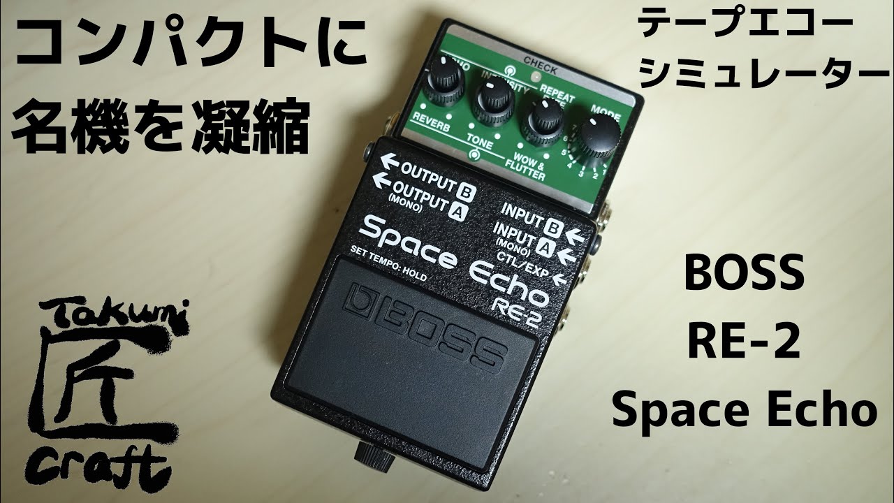 BOSS Space Echo RE-202 テープエコー ディレイ リバーブ-