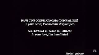 FALLY IPUPA - DISQUALIFIED LYRICS TRANSLATION