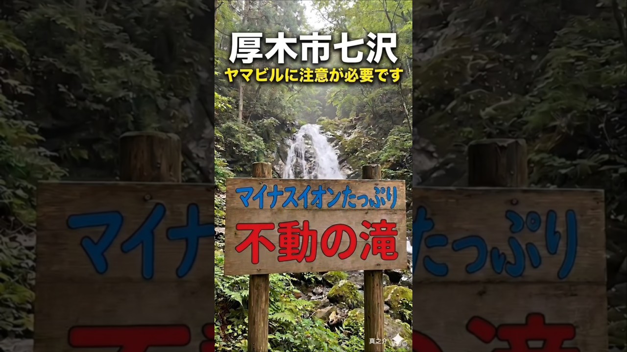 【マイナスイオンたっぷり不動の滝 「公式」@atsugicityチャンネルコラボ動画】🌴✨#@atsugicity #マイナスイオン #リフレッシュ #厚木市 #refresh #コラボ動画