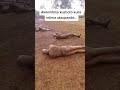 MTOTO ANALILIA JESHI Kasirika Stadium RTS Eldoret 