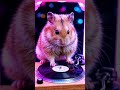 Hamster DJ. #aicontent