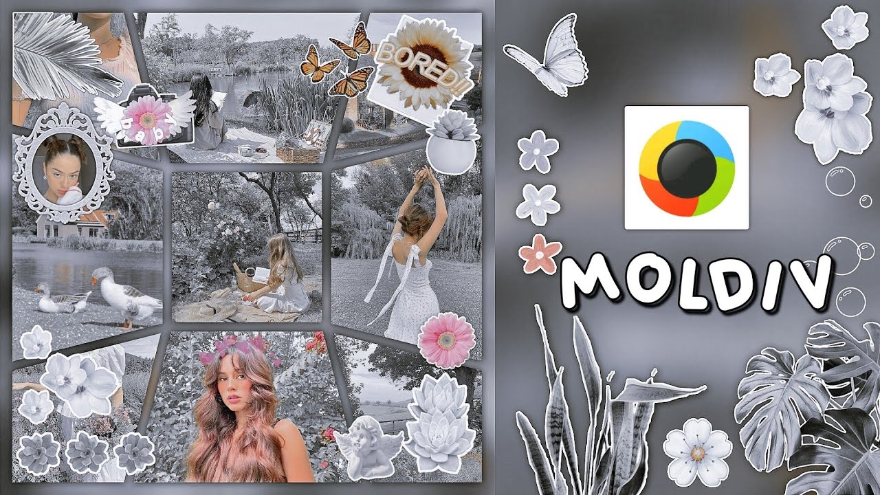 🪴 ຯ࣪ La MEJOR APP para hacer COLLAGES Mod apk YouTube