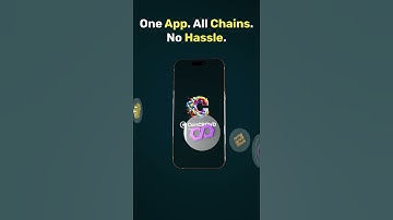 The Ultimate Crypto Wallet is Here With Multichain Support!