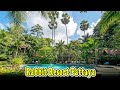 Rabbit resort pattaya reviews  rabbit resort pattaya thailand  pattaya dog friendly hotel