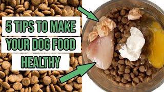 how to make dry dog food healthier 5 tips