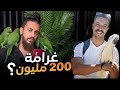 أش وقع أخ عمر Kabo Parrots عاشق ببغاء مشاكيل القانون رقم 29 05 