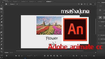 การสร้างปุ่มคำสั่ง Action script โดยใช้โปรแกรม Adobe Animate