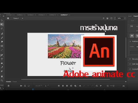 การสร้างปุ่มคำสั่ง Action script โดยใช้โปรแกรม Adobe Animate