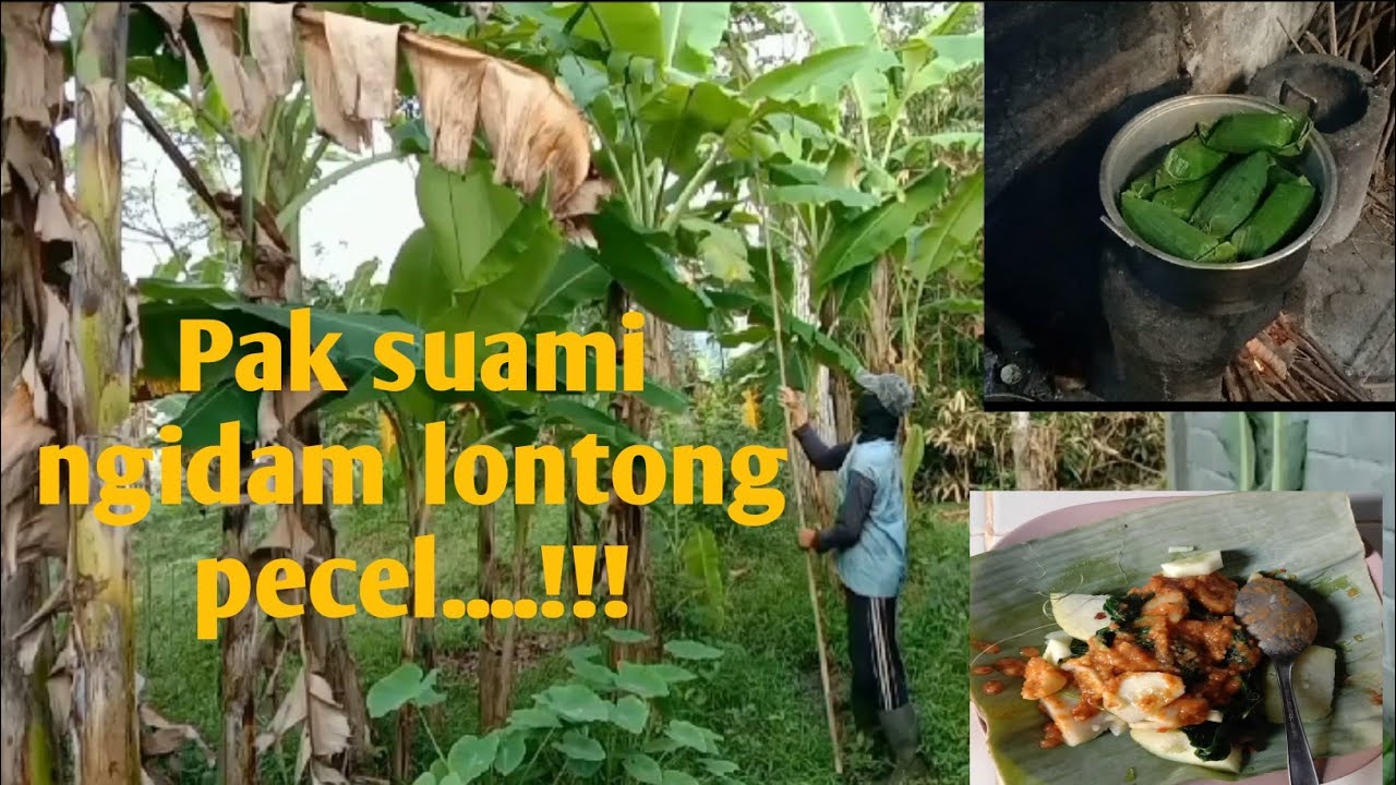 Hidup di desa /Ngidam lontong pecel /masakan desa