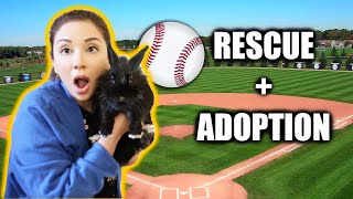 ADOPTING A BUNNY WE FOUND ON A BASEBALL FIELD