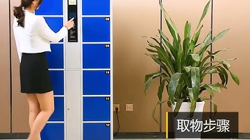 Staff Work Clothes Locker Storage School Locker Cabinet 2 Door Steel Locker Cabinet