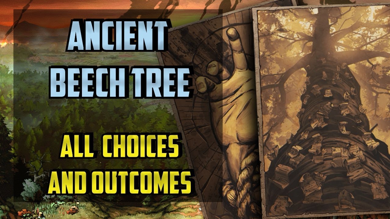 Ancient Beech Tree All choices - Thronebreaker the Witcher Tales - (Wayfarer Beech)