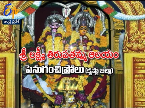 Sri Lakshmi Tirupatamma Temple  Penuganchiprolu  Teerthayatra  10th February 2017