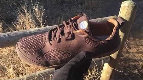 Lems Primal 2 Review