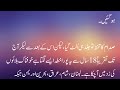 Arab Dunya, Saza Se Kyun Nahi Nikalti | Harf e Raz Column By Orya Maqbool Jan